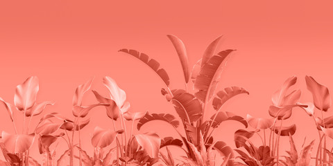 3d render, craft paper tropical leaves, pink floral background, square frame, decorative foliage, wild jungle, botanical wallpaper, blank space, digital illustration orange color 2019