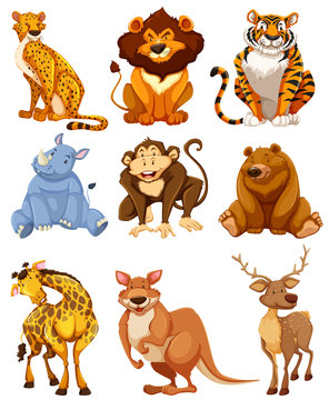 Set of wild animal character