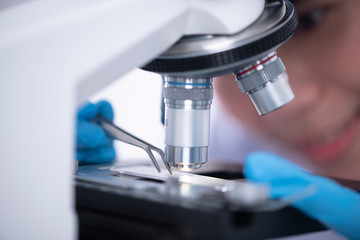 Scientist analyzing microscope slide at laboratory. Young woman technician is examining a histological sample, a biopsy in the laboratory of cancer research