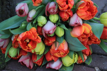 Red and orange tulips