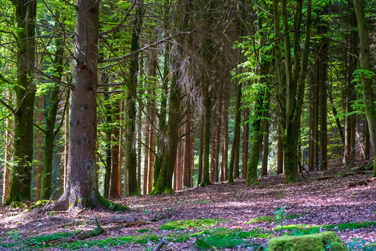 Hellenthal Bilder Durchsuchen 223 Archivfotos, und