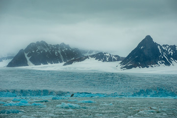 Glacier & Ice Field