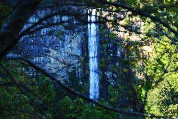 紀伊山地世界遺産　霊場と参詣道　熊野三山　熊野那智大社　那智の滝