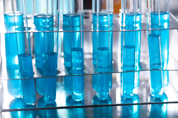 The scientist test the natural product extract, oil and biofuel solution, in the chemistry laboratory.