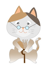 高齢になった猫