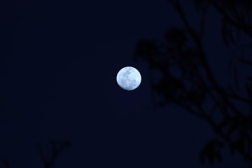Lua © allen