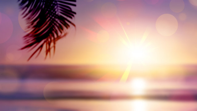 Summer sunset on beach with palm branch all unfocused, special for background