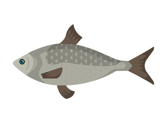 sea fish animal icon vector illustration