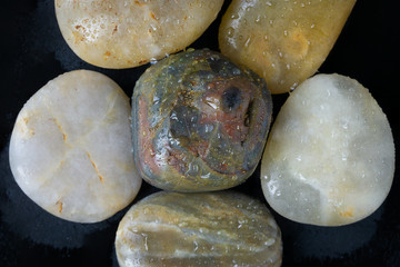 Quarts stones and pebbles polishes rocks
