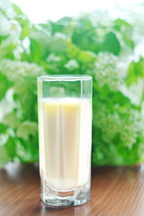 Glass of natural white fat cow homemade milk on a wooden table on a blurred background of a bouquet of flowering branches of Apple and cherry