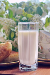 Glass of natural white fat cow homemade milk on wooden table on blurred background of bouquet of flowering branches of Apple, saucer with homemade pies and slide patterned cups. Selective focus