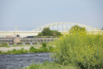 日本　風景　自然