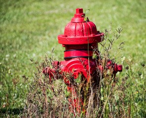 Fire Hydrant