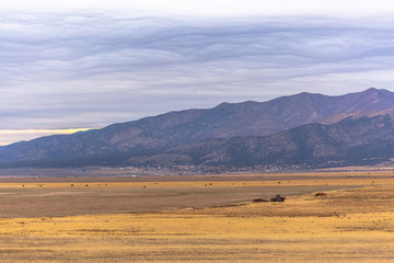 Panoramic view of a tractor on a vast grassy field under the cloud filled sky