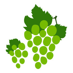 Bunch of grapes. Hand drawn doodle vector sketch. Sweet food