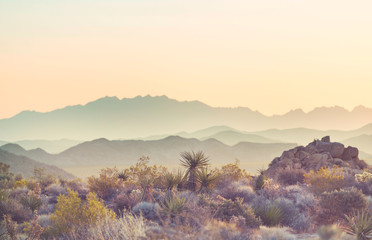 Arizona landscapes - obrazy, fototapety, plakaty