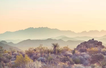 Fotobehang Woestijn Landschappen in Arizona