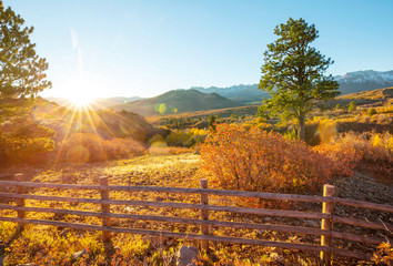 Autumn in Colorado