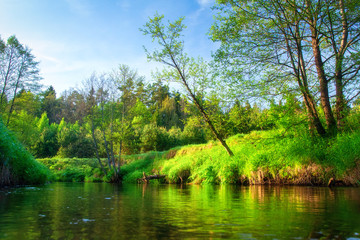 Fototapeta na wymiar Summer background. Scenic green nature on river. Scenery riverside. Riverbank landscape