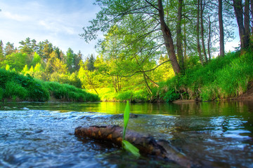 Beautiful river landscape. Green riverside. Scenic summer morning landscape