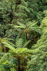Center for Environmental Interpretation of Caldeira Velha