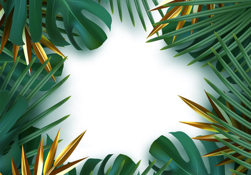 Branch palm realistic. Leaves and branches of palm trees. Tropical leaf background. Green foliage, tropic leaves pattern. frame white around blank space for text, flat lay, view from above. vector