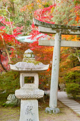 Stone lantern and torii gate in Japanese temple in Kyoto, Japan in autumn season. Oriental background