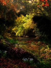 Obraz premium Colorful Fall Foliage on Rivanna Trail in Charlottesville, VA