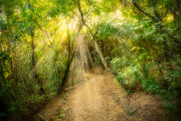 Obraz premium silhouette of a man in front of light