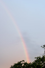 Rainbow in the sky after rain.