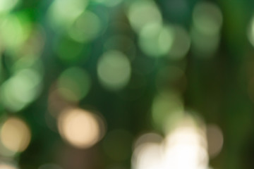 Obraz premium abstract green background with bokeh