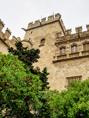 Fototapeta premium Lonja de la Seda of Valencia in Spain was used to trade silk.