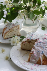 Easter cake with a bouquet of Chubushnik on a white background
