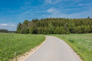 Fototapeta na wymiar Beautiful road in the nature. Blue sky and green meadows beautiful surroundings to make a trip by car on the road