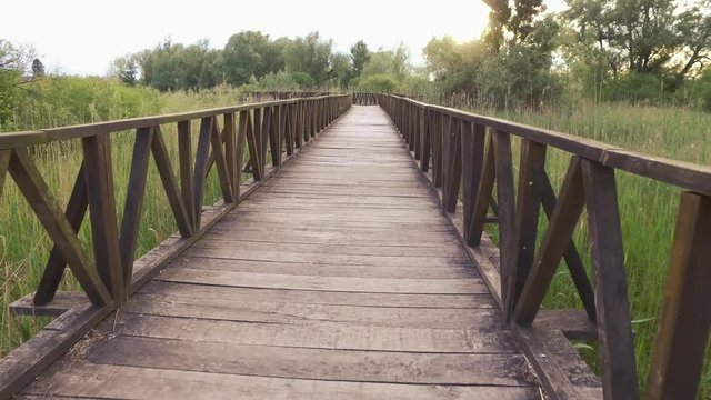 The route, path in nature, made from wooden boards and green surroundings.