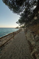 Fototapeta premium Cala de Sant Francesc in Blanes, Costa Brava