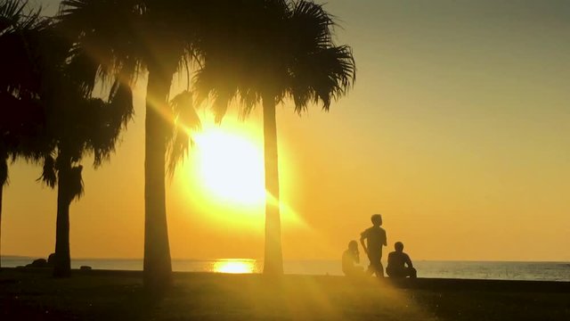 Time Lapse of Palm tree and people near the beach. Araha Beach, Chatan, Okinawa, Japan. Zoom Out