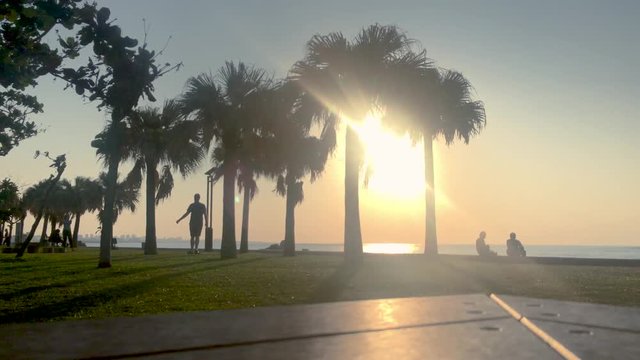 Time Lapse of Palm tree and Park Bench near the beach. Araha Beach, Chatan, Okinawa, Japan.