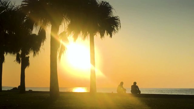 Time Lapse of Palm tree and people near the beach. Araha Beach, Chatan, Okinawa, Japan.
