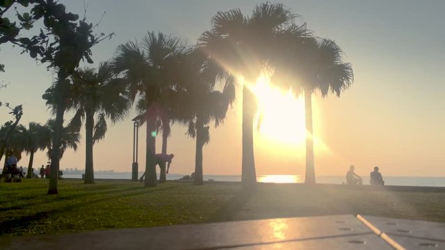Time Lapse of Palm tree and Park Bench near the beach. Araha Beach, Chatan, Okinawa, Japan.