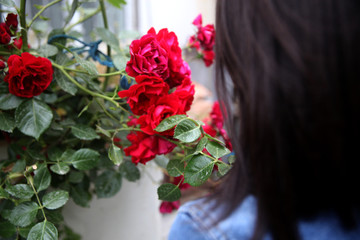 The young stylish woman looks at the  flowers in the garden