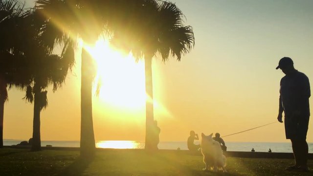 Time Lapse of Palm tree and people near the beach. Araha Beach, Chatan, Okinawa, Japan.