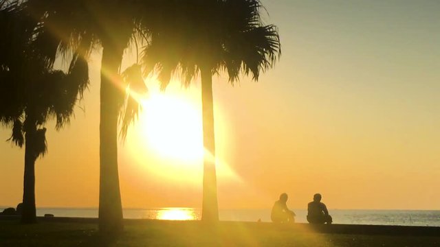 Time Lapse of Palm tree and people near the beach. Araha Beach, Chatan, Okinawa, Japan. Zoom In