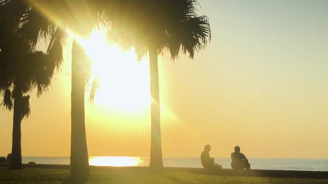 Time Lapse of Palm tree and people near the beach. Araha Beach, Chatan, Okinawa, Japan. Zoom Out