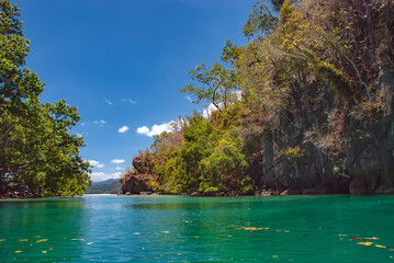Near the entrance to the Underground River in Palawan, Philippines