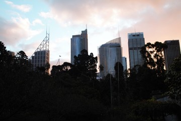 Sydney sunset in central park looks like a romantic painting – what a skyline 