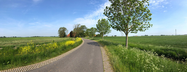 Frisian landscape panorama