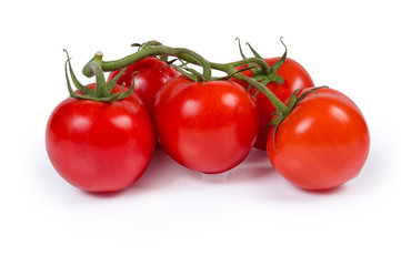 Red tomatoes on branch on a white background