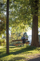 Man sitting on a park bench, summertime