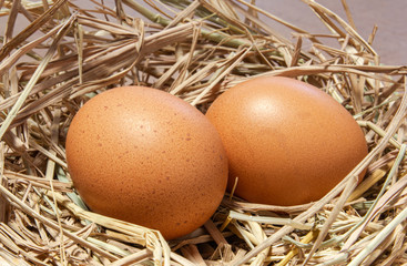 Two organic egggs lay in hay nest, closeup shot.